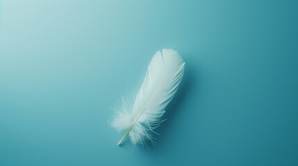 Poster - A minimalist blue background with a single, delicate white feather floating in the center