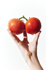 Wall Mural - Hand holding two ripe tomatoes on a white background