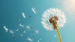 © horizon - A dandelion flower blowing in the wind, with its seeds flying away against a blue sky background. A large area of the photo should be left blank on one side for text or design.