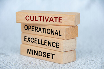 Canvas Print - Cultivate operational excellence mindset text on wooden blocks. Operational excellence concept