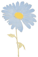 Poster - PNG Illustration of a Daisy blue daisy flower petal.