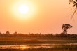 © Goldilock Project - Wide angle shot of a beautiul sunset in the Okavango delta.