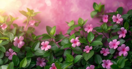 Wall Mural - Pink Flowers in the Garden, Vibrant Blossoms and Greenery