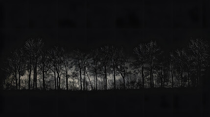 Wall Mural - The silhouettes of trees against a dark, twilight black background