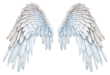 Sticker - PNG Realistic wings angel feather white.