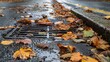 © 2rogan - Fallen leaves obstructing a road drain street and pavement