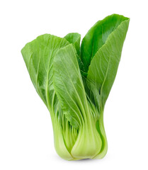 Wall Mural - Bok choy isolated on white background.