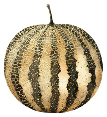 Canvas Print - PNG A melon vegetable produce reptile.