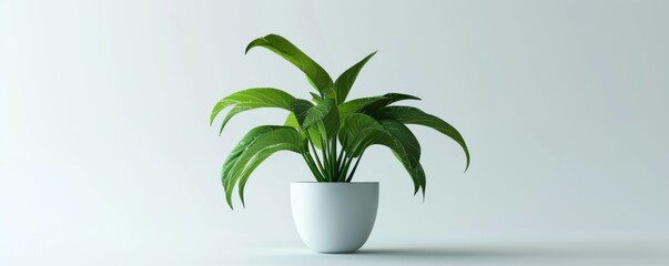 Isolated green potted plant on white background mockup, 4K hyperrealistic photo