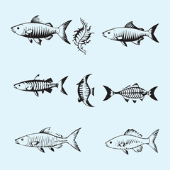 Fish bone line white silhouette icon set Clip art 