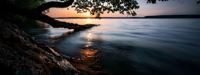 Wall Mural -  A tranquil scene featuring a tree silhouetted in the foreground, with a setting sun beyond the expanse of water