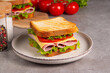 © xander21 - Close-up of two sandwiches with bacon, salami, prosciutto and fresh vegetables on rustic wooden cutting board. Club sandwich concept
