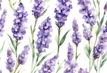 floral organic lavandula flower illustration vintage watercolor white lavender card olated provence invitation violet hand spa background botanical painted composition retro logo green flowers