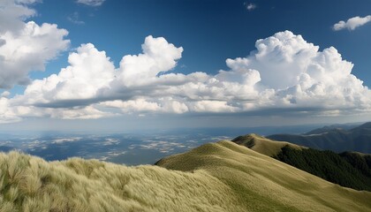 Canvas Print - sky and clouds vertical photo