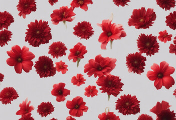 Wall Mural - Selection of beautiful various red flowers isolated on transparent background