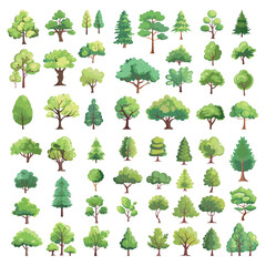 Cartoon trees set. Many tree vegetation, botanical garden park elements trunk with green foliage oak pine eco evergreen woodland vector illustration