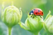 © ArtSpree - Ladybug on a dew-covered leaf, macro shot, morning light.. Beautiful simple AI generated image in 4K, unique.