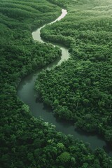 Sticker - Green river with trees on both sides