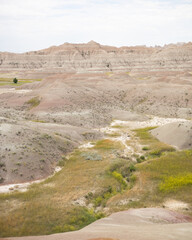 Wall Mural - winding road in the desert