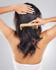 Sticker - Hair care, back and woman in studio with comb for frizz problem, hairstyle or split ends on white background. Rear view, damaged and hands of female model for hairloss, salon stress or tangle strand