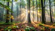 © Sujid - Misty morning in the forest with dew-covered leaves and soft sunlight filtering through the trees, forest, misty, morning, dew