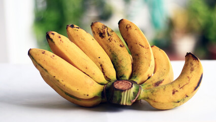 Raja bulu banana. Originally from Indonesia. Can be eaten directly or cooked.