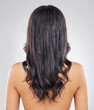 © Van Wyk/peopleimages.com - Salon, back and hair of woman in studio with growth for keratin treatment, glow or shine on white background. Rear view, body and female model with curly hairstyle for grooming, texture or aesthetic