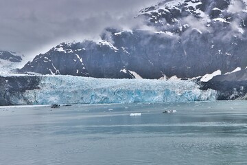 Wall Mural - College Fjord, Alaska