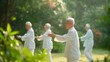 © Pro Hi-Res - Senior citizens practicing tai chi in a lush green park on a sunny day.