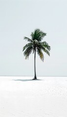 Wall Mural - minimalist background with a lone coconut tree on white sand beach, symbolizing solitude and simplicity