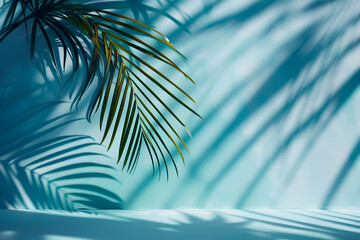 Wall Mural - blurred shadow from palm leaves on the light blue wall minimal abstract background for product presentation spring and summer
