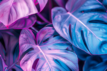 Sticker - Vibrant Tropical Leaves with Blue and Pink Neon Glow for Modern Botanical Design