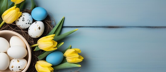 Fototapete - Top-down view of yellow tulips, blue and white eggs in a nest on an Easter-themed background with ample copy space image.