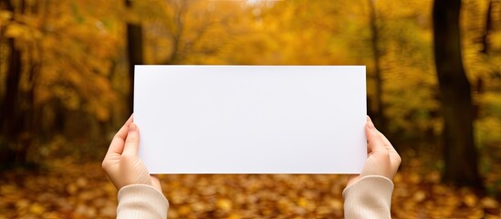 Poster - Hands holding a blank white sheet with autumn leaves in the background, perfect for adding copy space image.