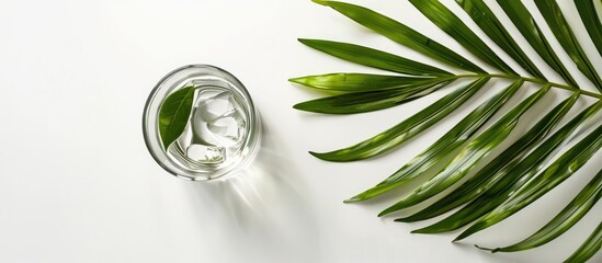 Aufkleber - An aerial perspective of palm leaves arranged in a glass on a white background with copy space image available.