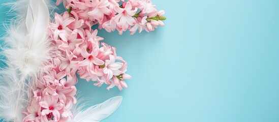Aufkleber - Pink hyacinth flowers with white feathers against pastel blue or cyan colors, ideal for adding your text in a copy space image evoking spring or summer vibes.