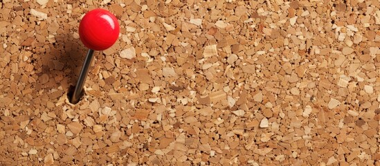 Poster - Cork board with a pin and copy space image.
