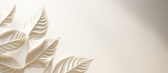 Poster - White textured background featuring an organic leaf's shadow overlay effect is perfect for enhancing product presentations, backdrops, and mockups with copy space image.
