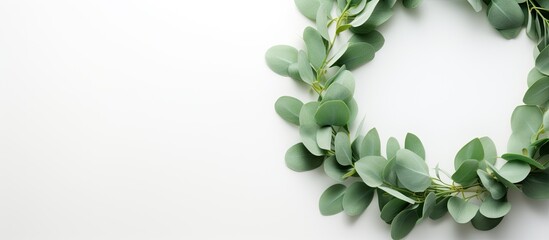 Aufkleber - Top view of a eucalyptus wreath on a white surface providing copy space image.