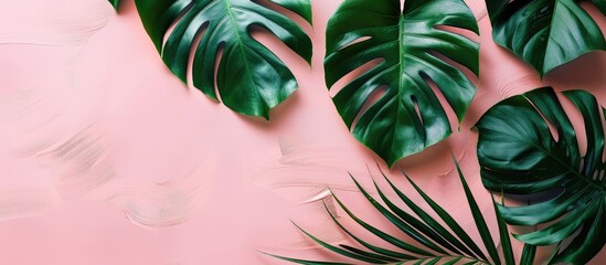 Wall Mural - Top view of tropical leaves, including a monstera leaf, set on a light pink backdrop for a flat lay presentation with creative minimal design, leaving room for text or other images - copy space image.