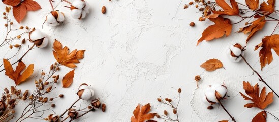Aufkleber - Autumn-themed arrangement with cotton flowers and dried leaves on a white background, emphasizing the fall season. Top view with ample copy space image.