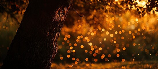 Poster - Beneath the tree's shadow lies a natural orange bokeh background with copy space image.