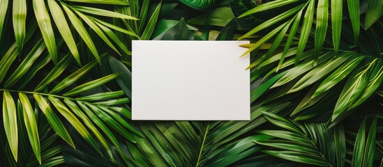 Sticker - Top-down view of a blank card placed on palm leaves for a design mock-up with copy space image.