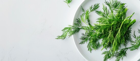 Canvas Print - Plate with a bunch of fresh dill leaves, ideal for background with copy space image.