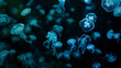 © drewdrew - Beautiful jellyfish swimming in the deep sea