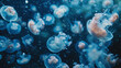 © drewdrew - Beautiful jellyfish swimming in the deep sea