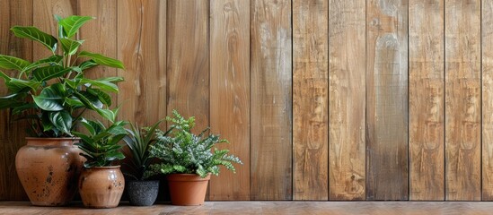 Sticker - Potted plants displayed against a wooden backdrop with copy space image.