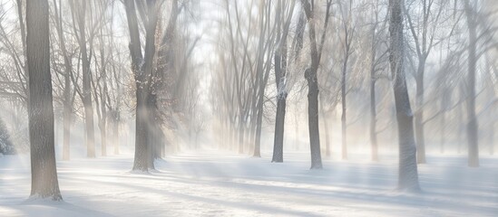 Aufkleber - Winter park scenery with trees appears blurry in the copy space image.