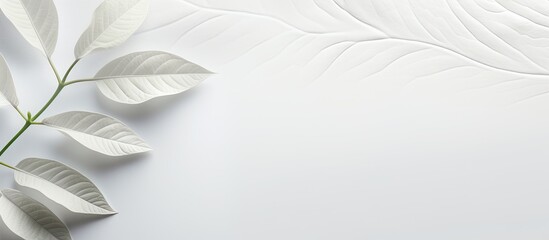 Poster - White textured background featuring an organic leaf's shadow overlay effect is perfect for enhancing product presentations, backdrops, and mockups with copy space image.