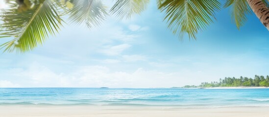 Poster - Tropical beach scene with palm tree border against the backdrop. Copy space image available.